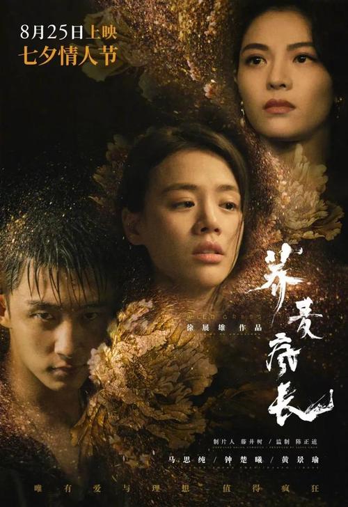 找人做仿真成都银行转账存款小票